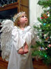 Click picture for larger photo