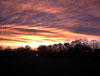Click on picture for larger photo