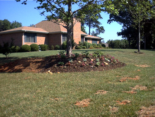 Large flowerbed across the north side, beginnings May 2000