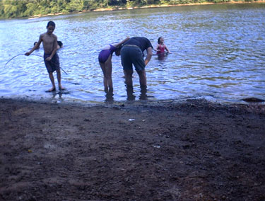 Looking for minnows!