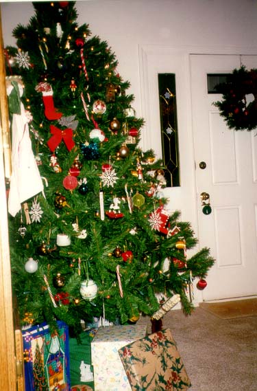 The large tree in the living room.
